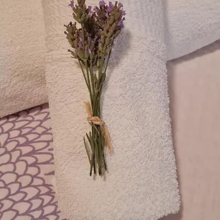Lavanda Apartament *