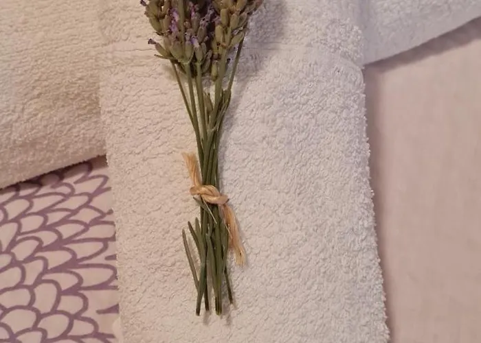 Lavanda דירה *