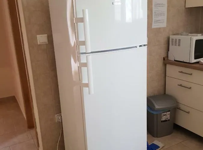 Lavanda Starigrad Paklenica